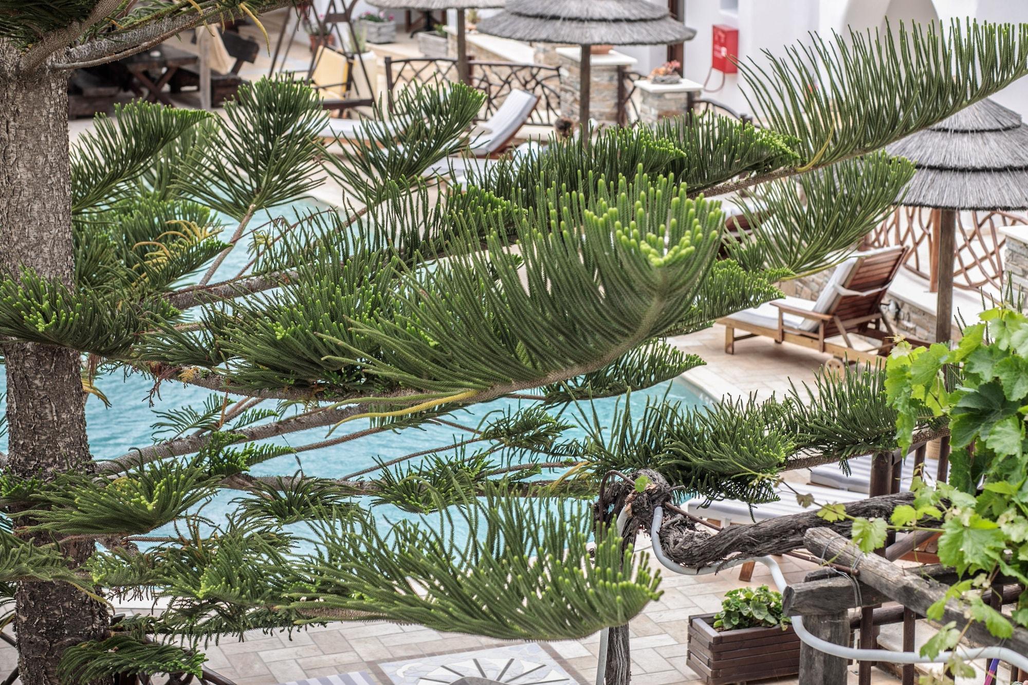 Anemomilos Beach Hotel Agia Anna  Dış mekan fotoğraf
