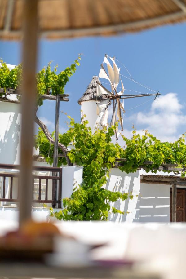 Anemomilos Beach Hotel Agia Anna  Dış mekan fotoğraf